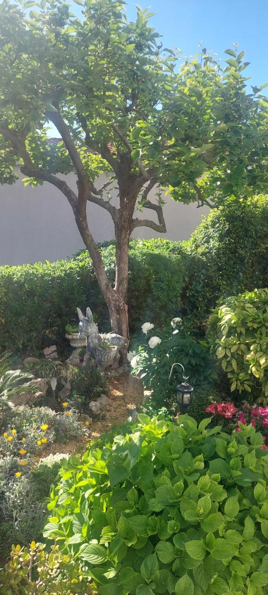 Pahljina Apartments Palit ภายนอก รูปภาพ